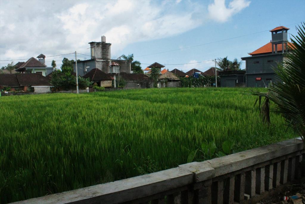 Cenik House Ubud ภายนอก รูปภาพ